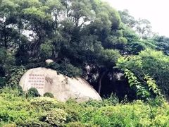 -仙岳公园