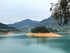 -广州市流溪河国家森林公园