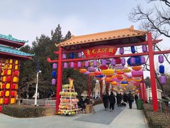 -青龙湖公园