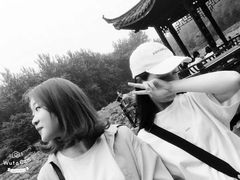 -合肥滨湖国家森林公园