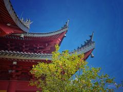 -上海东林寺(金山区)