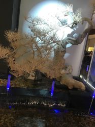 -锦绣芳华女子私房写真
