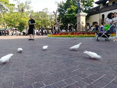 -东部华侨城
