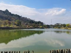 -王借岗森林公园