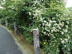 景点-穹窿山景区