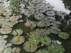 -四海公园(南山区)