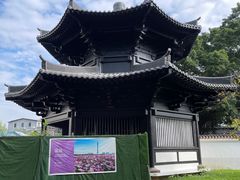 -荔湾湖公园