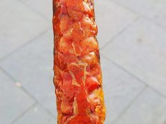 -糖葫芦王保定名吃(古莲花池店)