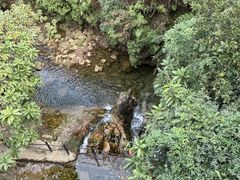 -南海湾森林生态园