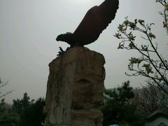 -北京鹫峰国家森林公园