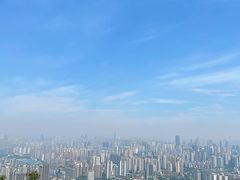 -南山植物园