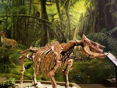 -陕西自然博物馆