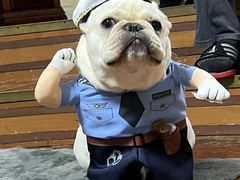 -萌宠之家·腊肠犬·马尔泰·小体犬舍