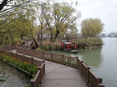 -长兴太湖图影湿地文化园