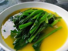 豆汤菜心-晶泽丽琅·鱼鲜川菜(川师店)