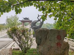 -东湖落雁景区