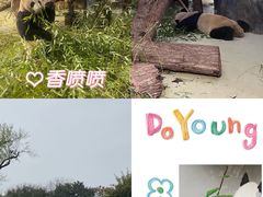 -成都大熊猫繁育研究基地