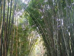 -成都杜甫草堂博物馆