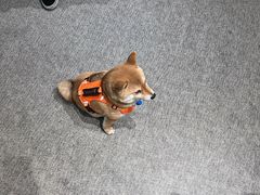 -mYSTEPS健身运动馆(古北店)