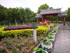 -金山公园
