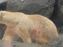 -海合安武汉极地海洋公园