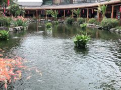 -大门水乡·顺德菜