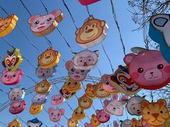 -沈阳奥体冰雪嘉年华