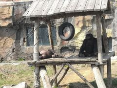 -大连森林动物园