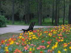 -上海共青森林公园