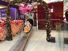 -巴黎春天(浦建店)