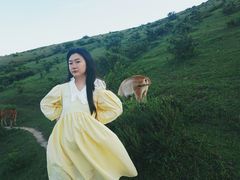 -大姆山草场