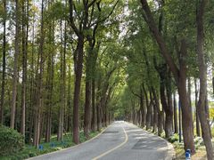 -虞山风景区