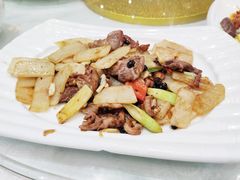 -鹅城