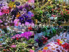 -花鸟鱼虫鲜花绿植市场(玉泉路店)
