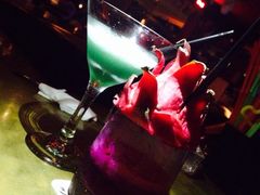 -CLUB VIVA(购物公园店)