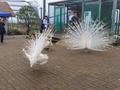 -鄱阳湖国家湿地公园