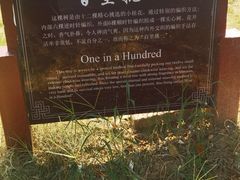 -武汉紫薇都市田园