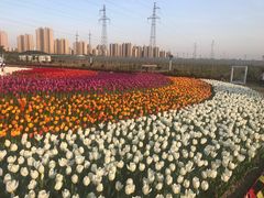 -菊园百果园