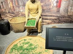 -信阳博物馆