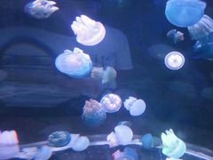 -多彩贵州城极地海洋世界