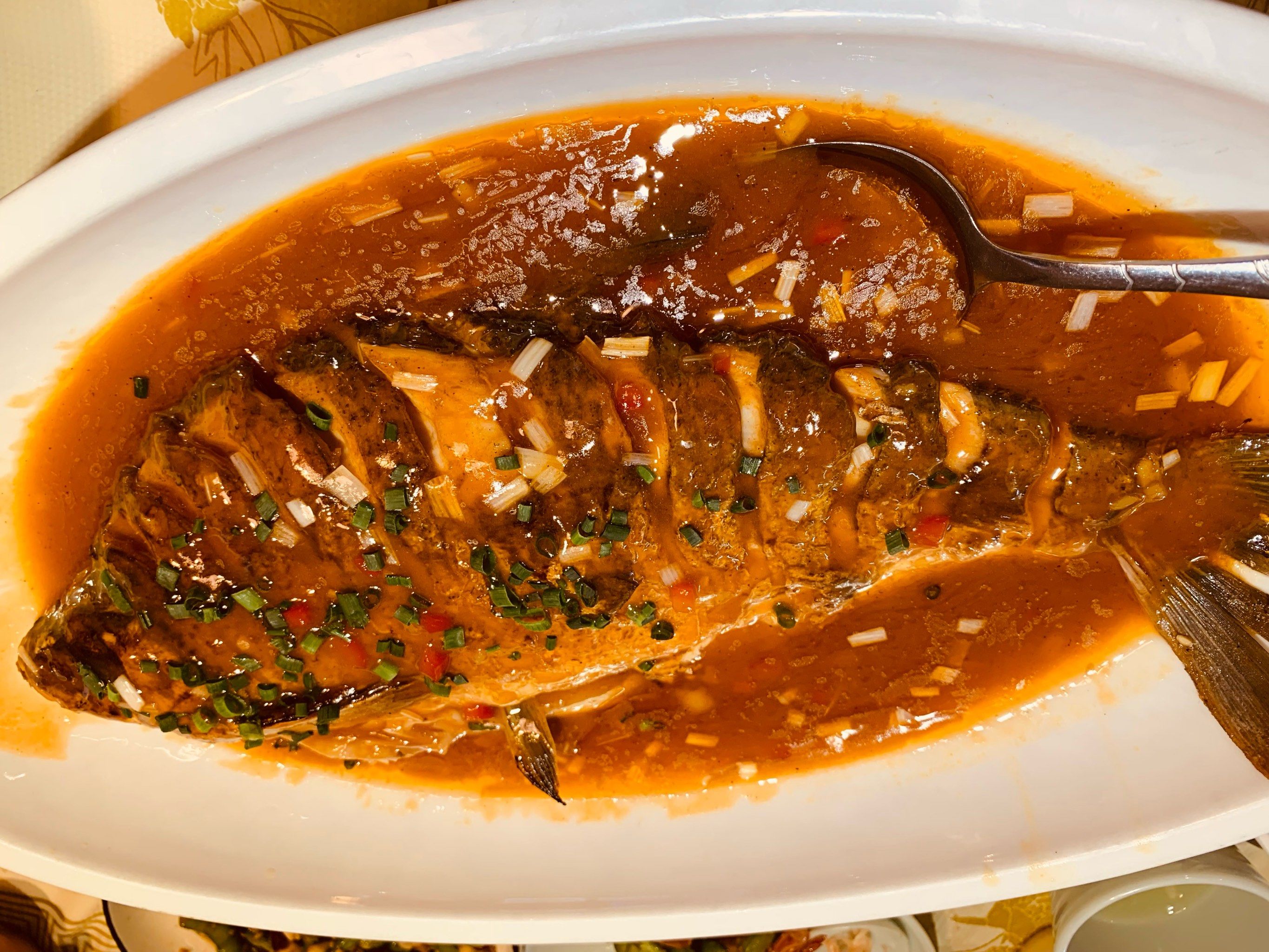 才饮东湖水 又食武昌鱼