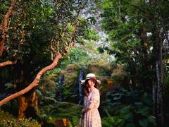 景观位-Chom Cafe and Restaurant