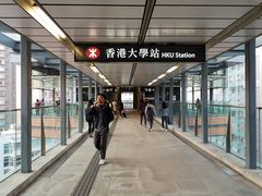 -香港大学