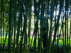 -兰亭风景区
