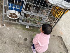 -荣德灶台鱼(圣泉寺店)