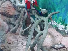 -福州罗源湾海洋世界旅游区