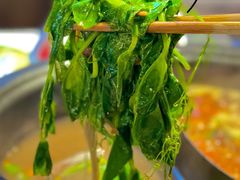-钢管厂五区小郡肝火锅串串香(总店)