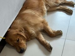 -海底捞火锅(邯郸新世纪中心店)