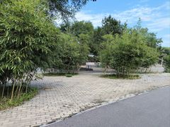 -石家庄市植物园