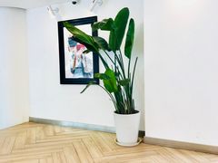 -PETIT PARIS 小巴黎(凯德1818店)